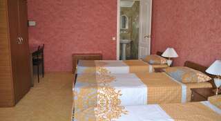 Гостиница Вилла Ковчег Поповка Улучшенный двухместный номер с 1 кроватью или 2 отдельными кроватями-112
